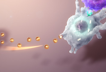 Novel Vδ2-T Cells Derived Exosomes Treatment for Epstein-Barr Virus (EBV) Associated Cancers